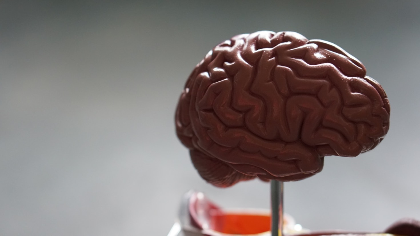 The Role of Personality in Leadership Success